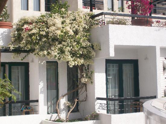 Kahramana Hotel Naama Bay Sharm el-Sheikh Ngoại thất bức ảnh